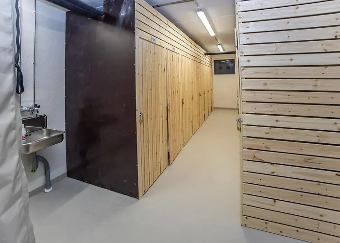 Levistar Vi As- 6106 By Interhome 別荘 *